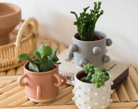 Clay Planter