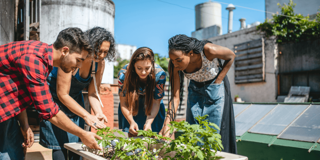 Community Garden