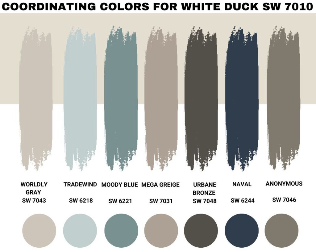 Coordinating Colors of Duck White Sherwin Williams