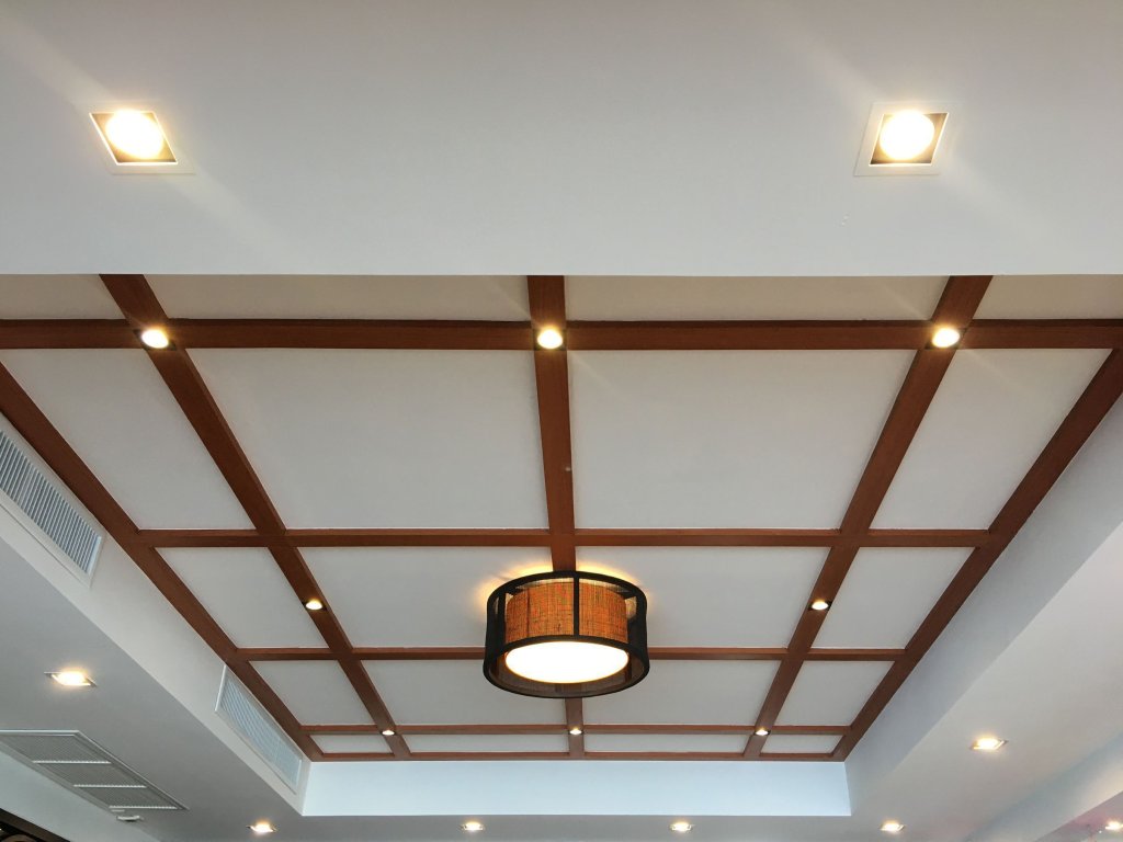 Dropped Ceiling