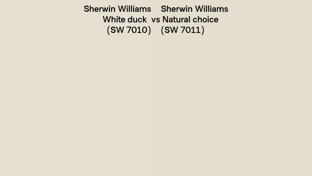 SW White Duck vs. SW Natural Choice.jpg