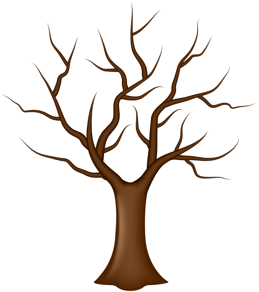 Tree with No Leaves