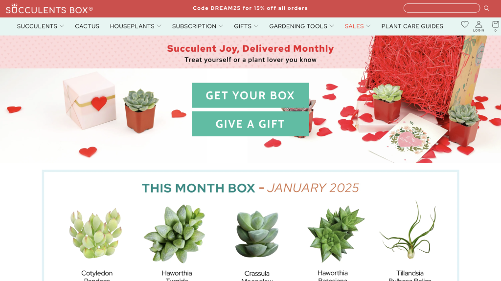 Succulent Box