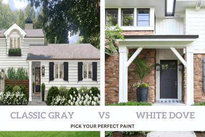 classic gray vs white dove