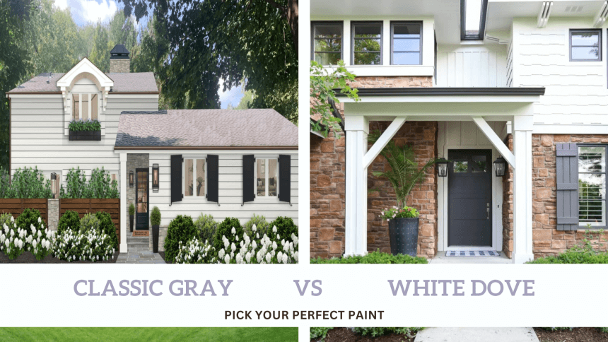 classic gray vs white dove