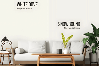 white dove vs snowbound