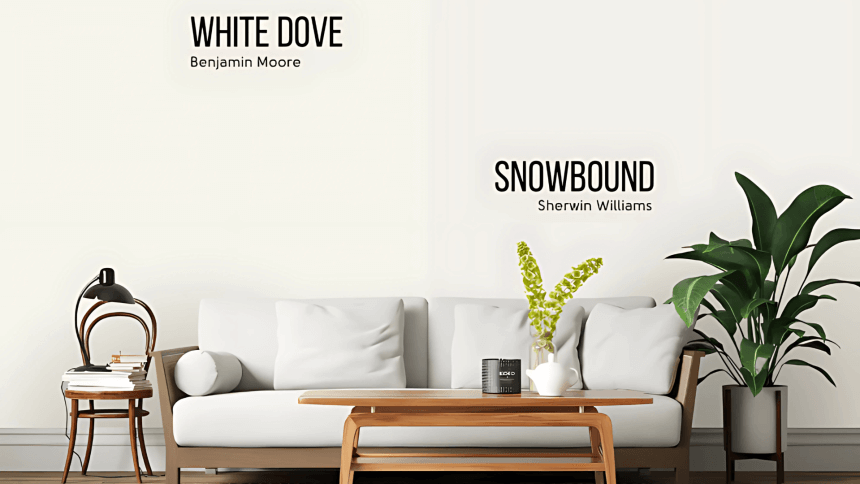 white dove vs snowbound