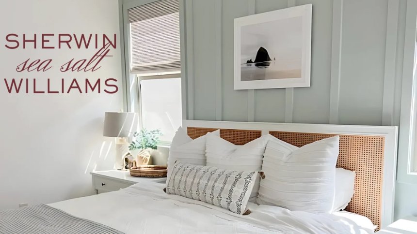 Sherwin Williams Sea Salt 6204: A Color Story